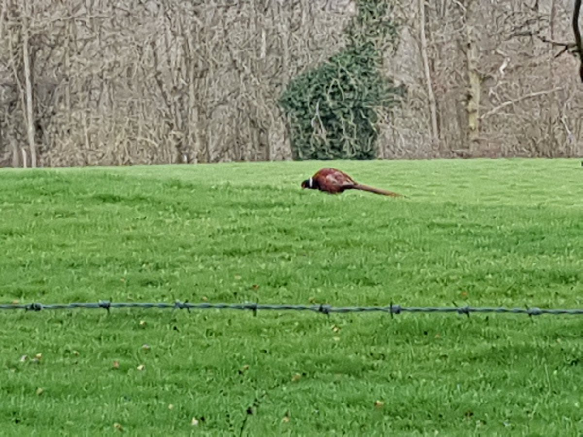 tysalltony1's tweet photo. At last! Have been able to use our  gift from my ex management team. @Cat_Wilson1973 thank you and please pass onto the team. Excellent time in Cotswolds. Visited Dyrham park and Newark house as @nationaltrust members. Both superb. Excellent weekend throughout. Thanks team. https://t.co/ymCAGib5mK