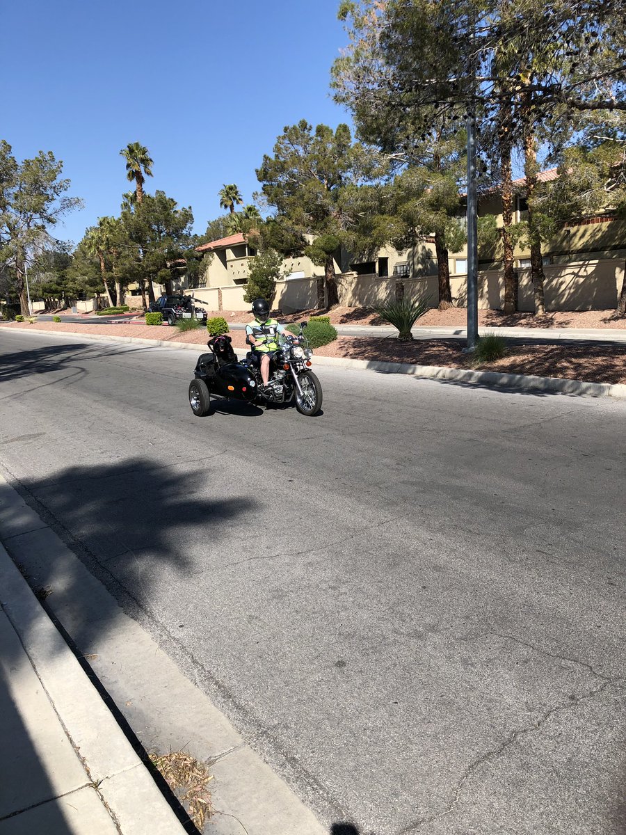 JackLawrenceXXX's tweet photo. Went on a Neighborhood walk with my #MOM, she taught me to pick up trash, as soon as I did and looked up, here comes a Dog wearing sunglasses in a sidecar of a Motorcycle and my Mom LOVES Motorcycles #InstantGoodKarma like to the SECOND! (Mom Cheered!) https://t.co/iozttC6GWm
