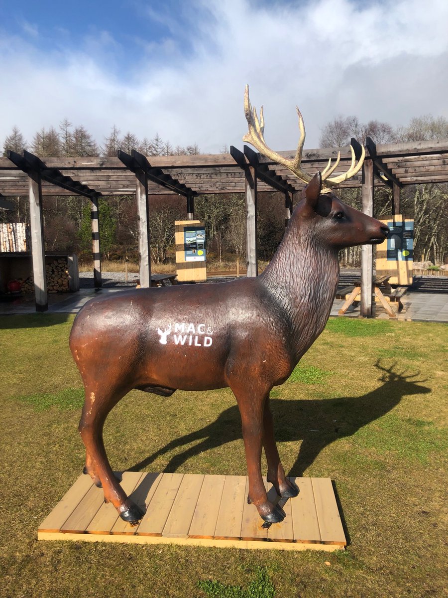 PauloPhillips's tweet image. Brilliant discovery today.  Great pie &amp;amp; coffee at a fantastic setting #mac&amp;amp;wild #fallsofshin