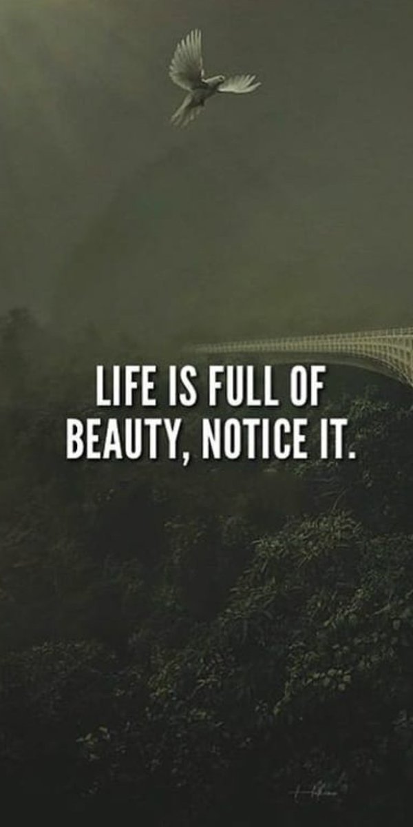 alihazahid99's tweet photo. In my opinion #LifeIsJoyous #LoveYourself https://t.co/n2I1b2kSWQ