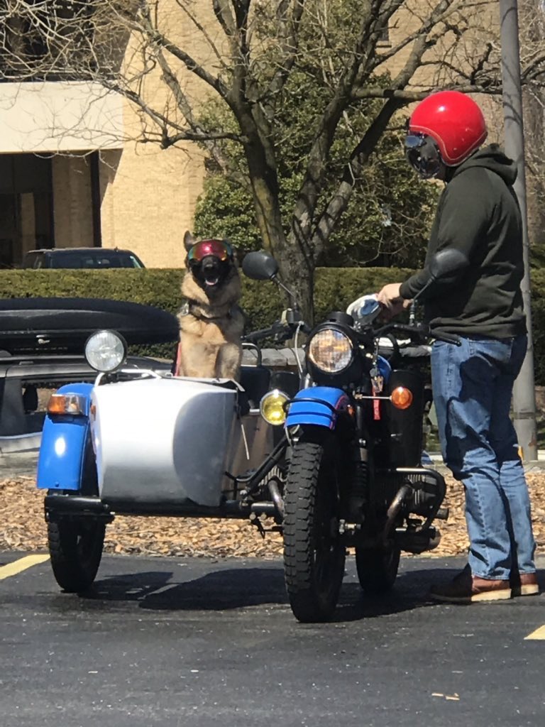 TheMoCoShow's tweet photo. As seen at Jimmie Cone in Damascus. I’d ride with that dog 😎 🐶
Courtesy of @BrownBallin11 https://t.co/cwncmvLQu8