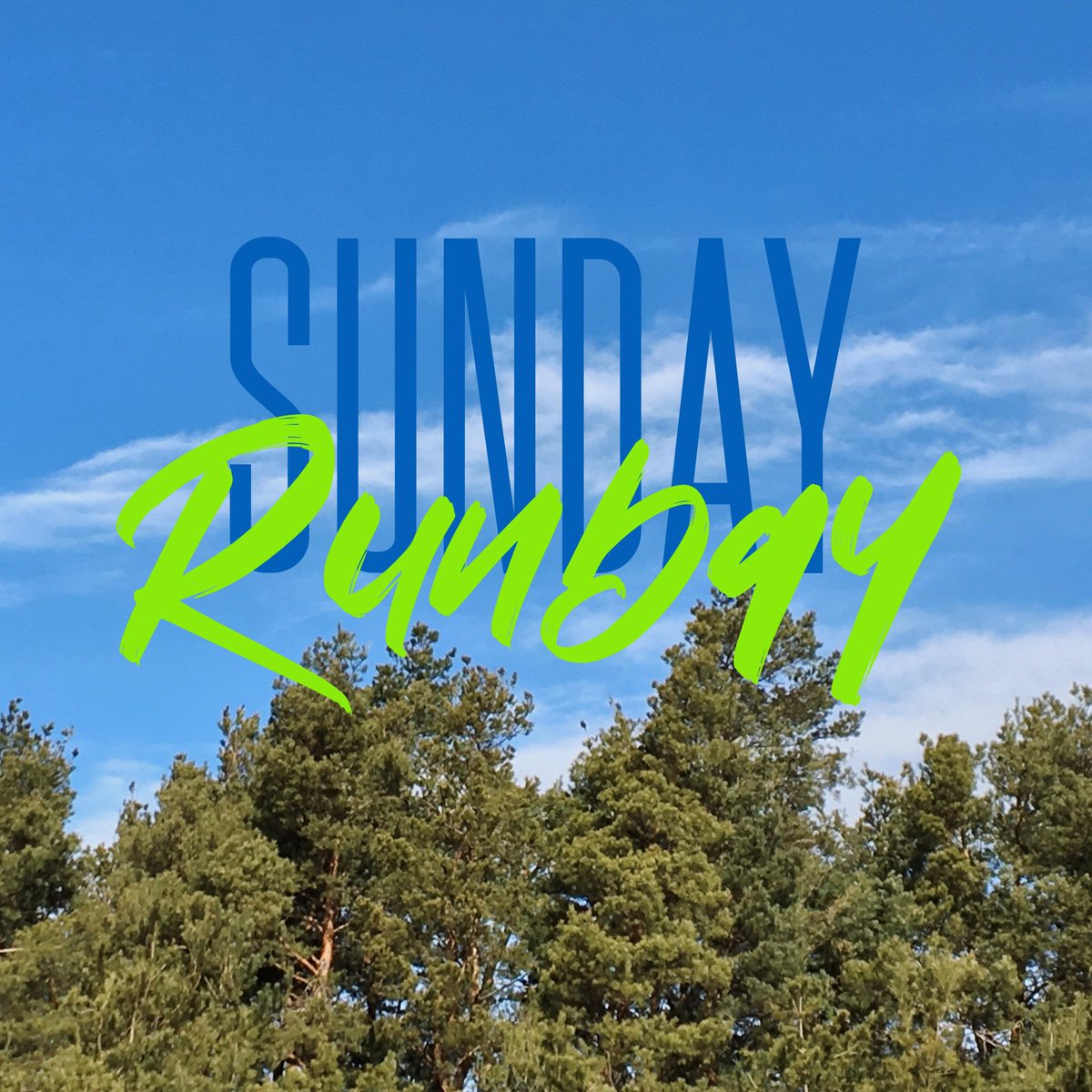 virtualraceco's tweet photo. What a beautiful day for a 5K! Or any other length of walk/jog/run, for that matter. Who is taking advantage of the sunshine to work on a virtual race today? 🙋🏻‍♀️
#sundayrunday #sundaywalk #sundayrun #sunday #virtualrunner #sundayvibes #sundaymotivation #runhappy #sundaylove https://t.co/zrXOimKwjb