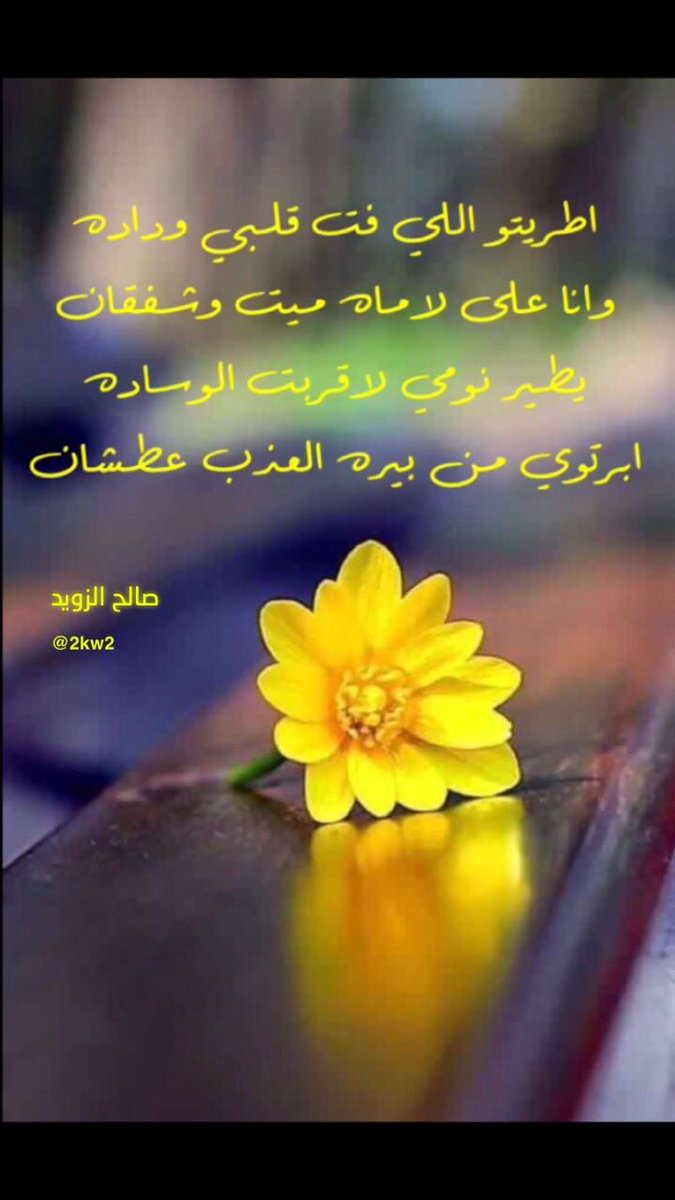 اطريتو اللي فت قلبي وداده 
وانا على لاماه ميت وشفقان 

يطير نومي لاقربت الوساده
ابرتوي من بيره العذب عطشان
#صالح_الزويد