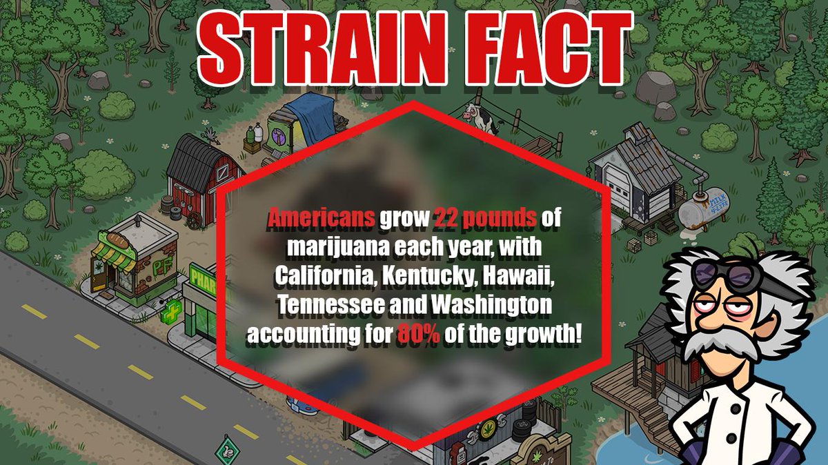 BFGrassRoots's tweet photo. 🎼 America, America, this is yoooou 🎶 #StrainFactSunday #BFGR https://t.co/VOljB4vwuH