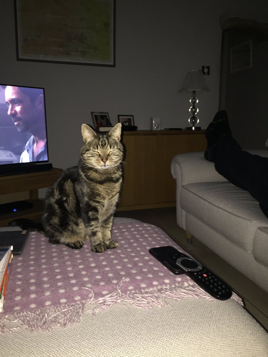 milne_archie's tweet photo. I am a grumpy cat...I had some roast beef at lunchtime and now for dinner my hoomans want to give me stuff out of a sachet?! I’ve had the posh stuff now!!! 🐾🐾 #CatsOfTwitter #tabby #archiecat #whereismyroastbeef #spoiltboy #stillwaiting https://t.co/tvahSF5wpy