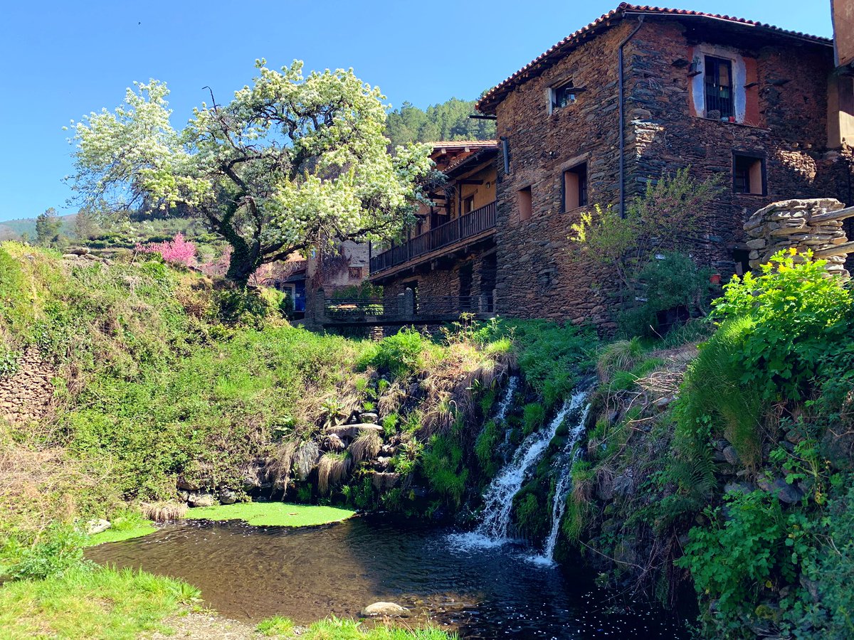 sanchezymiller's tweet image. Hemos inaugurado la #primavera en la Maravilla Rural de España: #RobledillodeGata. Donde los platos se riegan con el mejor #AOVE @DOPGataHurdes. Recordamos también nuestra visita a la magnífica finca de olivos que @oleosetin tiene en #Marchagaz.