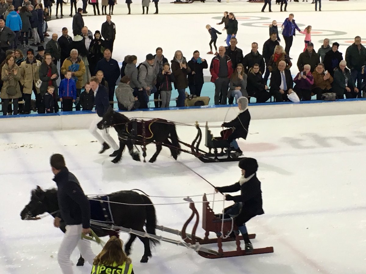 Friesians on Ice. Prachtige middag in Thialf met mooi NK arresleeën Friese paarden.    Voor de jeugd (zie foto) jong geleerd, . . .