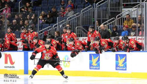 Parlons Junior (@parlonsjunior) on Twitter photo Le #Drakkar et les #Wildcats a égalité après deux matchs, la clé du succès est entre les deux oreilles pour le #Drakkar |
parlonsjunior.com/index.php/35-a… | #LHJMQ par <a href="/NChene/">Nicolas Chéné</a> Le #Drakkar et les #Wildcats a égalité après deux matchs, la clé du succès est entre les deux oreilles pour le #Drakkar |
parlonsjunior.com/index.php/35-a… | #LHJMQ par <a href="/NChene/">Nicolas Chéné</a>