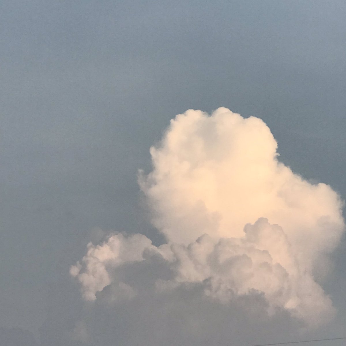 Amor☁️ tweet media
