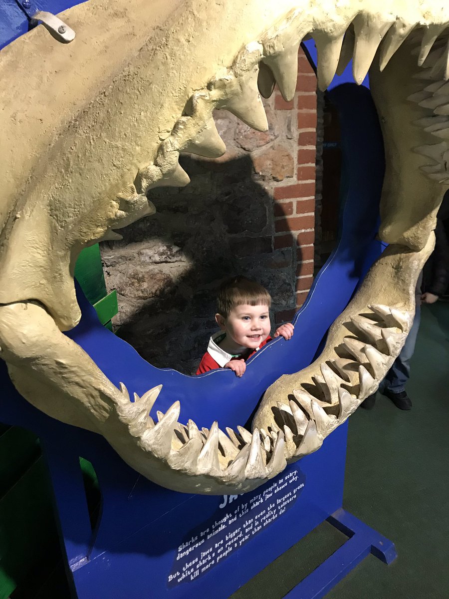 lb_salmon's tweet photo. Fun at @BristolZooGdns with the family https://t.co/zJIOaULPQ9