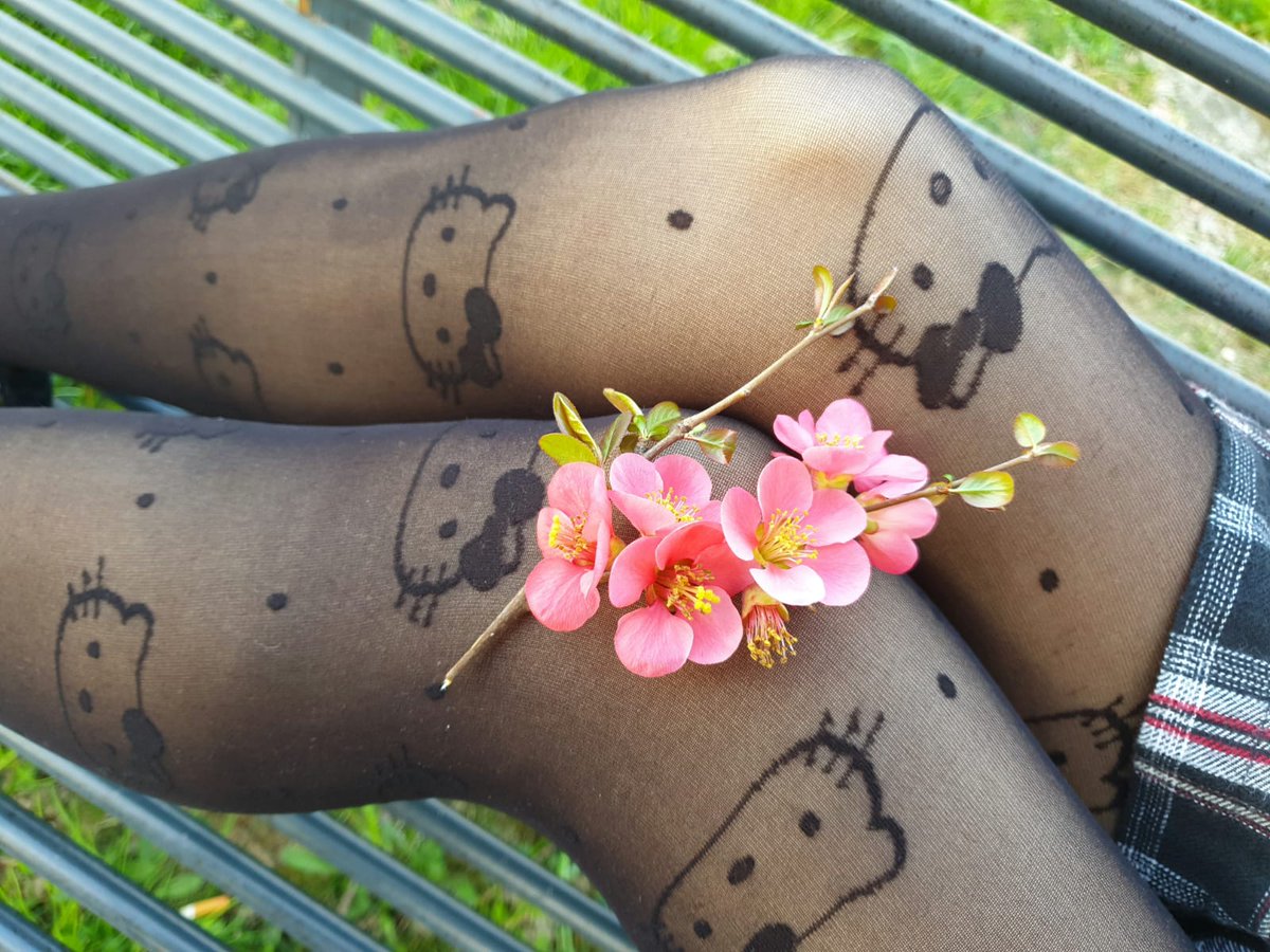 MaidaRodilossi's tweet photo. Waiting the spring with Hello Kitty🎀❤🌻collant by @TweetCalzedonia
Photo by @supermariodenti
#calzedonia #tights #pantyhose #hosiery #hellokitty #hellokittyfan #hellokittytights #sanrio #hellokittyxcalzedonia #fashionblogger #italianlegwear #fashion #hellokittylover #collant https://t.co/po5tt4uzR3