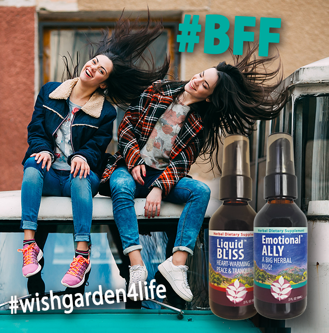 WishGardenHerbs's tweet photo. Happy Sunday! Try "THE BFF" MOCKTAIL: 8 oz. glass w/ ice + kombucha (we recommend @DrinkWildTonic Raspberry Goji Rose) + 3 squirts each of #liquidbliss &amp; #emotionalally formulas. Garnish with fresh raspberries &amp; orange twist! #wishgardenherbs #wishgarden4life #bff https://t.co/oUh1mhYTo1