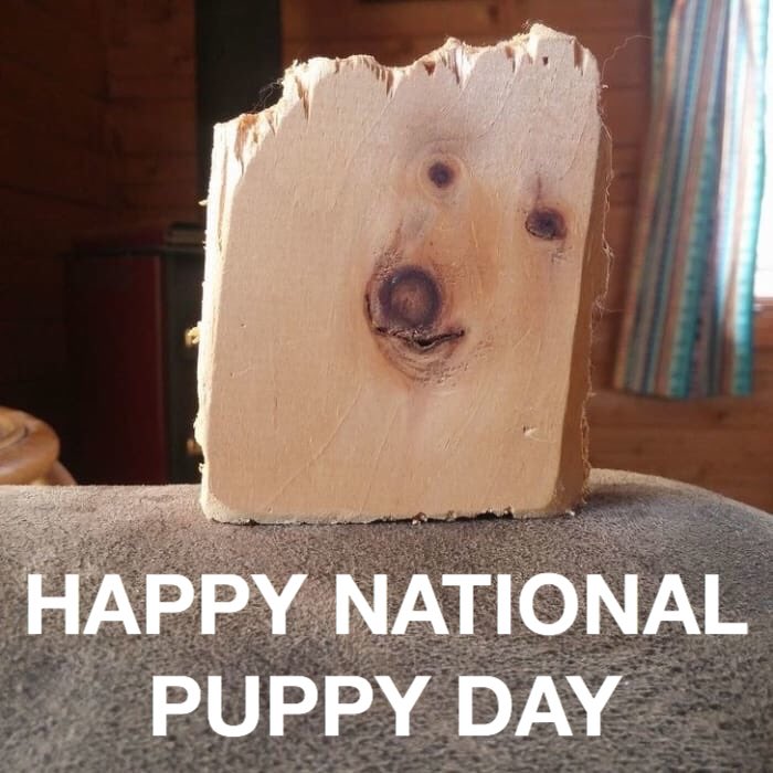 gefrisco's tweet photo. 🐶Happy National Puppy Day! #NationalPuppyDay #dog #lumber #Construction https://t.co/4UX1rLsQWT