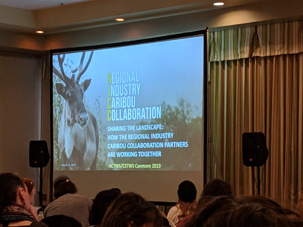 FuseKnowledge's tweet photo. Collaborative research efforts like those of @RICCCaribou can lead to important advances in restoration. Lori Neufeld covers some of the major accomplishments #ACTWS19 https://t.co/iyNDPTGNTy