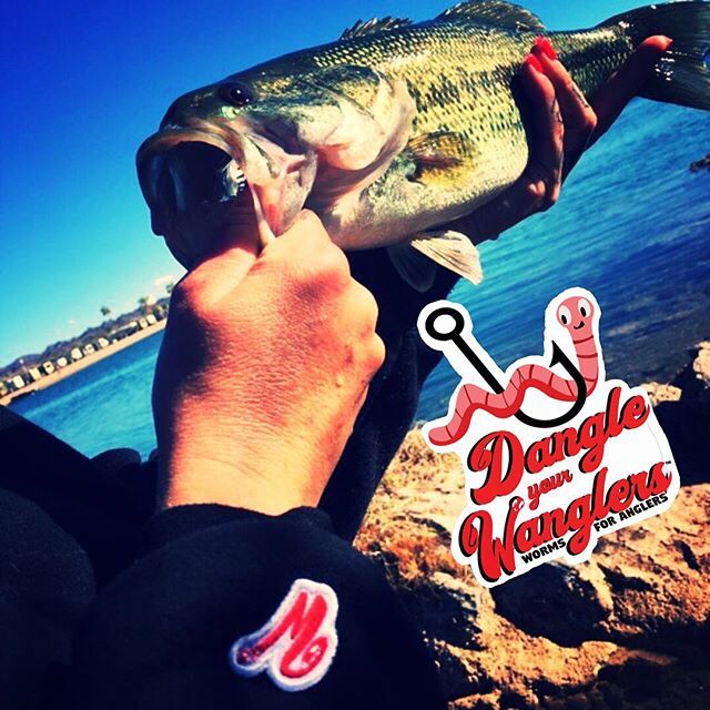 WanglersLive's tweet photo. Catching some fish this weekend?  @tight_lines_tina is always out there slayin ‘em with Wanglers and encouraging people to fish! •
•
•
#dangleyourwanglers #takeakidfishing #panfish #wanglerslive #thewormthatworks #bassfishing #worms https://t.co/gICHMLcKrs https://t.co/mHOdZoJkfo
