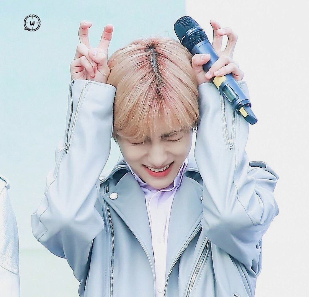̽🥠 ˓ huang fen ˒ ◡̈ ♥ @log out tweet media