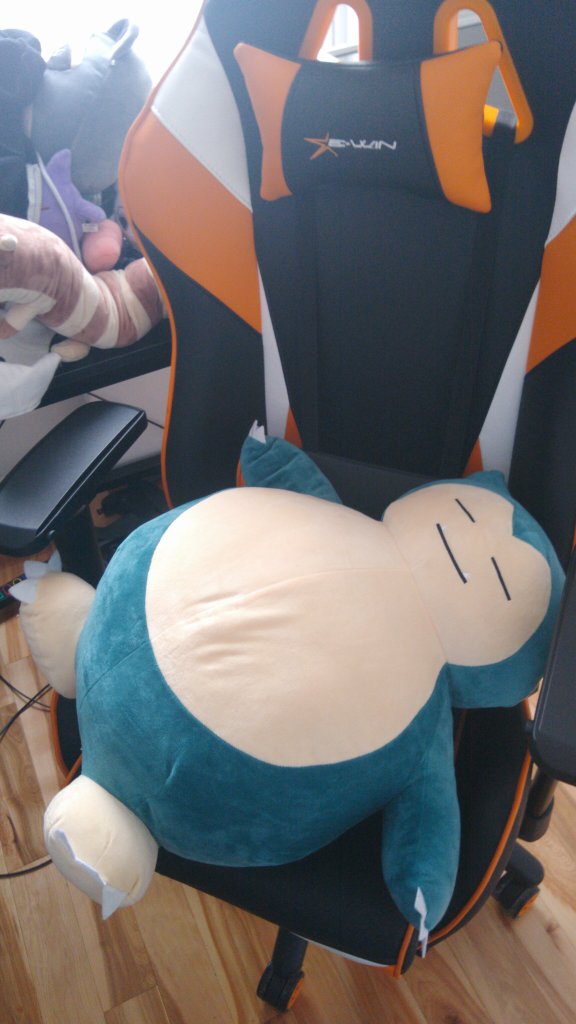 melisussie's tweet photo. A sleeping Snorlax blocking the way! https://t.co/UO0XlbIED1