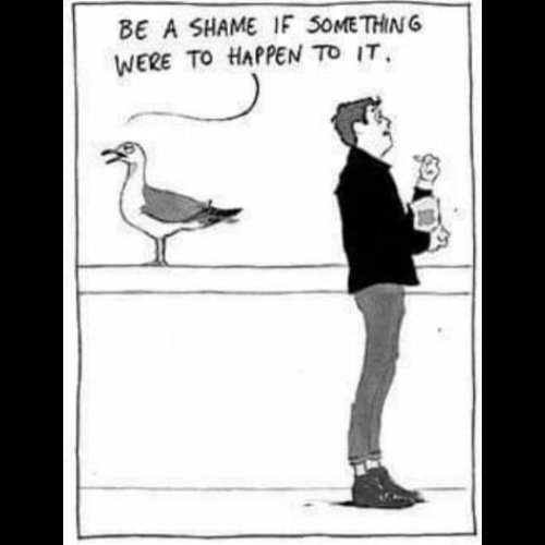 Joint48413417's tweet photo. That moment u pass by a #stoned seagull
With the craving for #munchies

Follow us 🤩 or visit us https://t.co/uB3nhte2uv 🏷️
Like 👍 and comment below 💬 👇 

#bitcoin #marijuana #herbs #cannabis #joint #usa #high #weedhumor #weed #love #thc  #baked #funny #ganja #canada #altcoins https://t.co/Qhv0gDZkbB