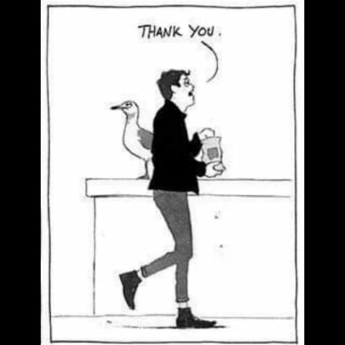Joint48413417's tweet photo. That moment u pass by a #stoned seagull
With the craving for #munchies

Follow us 🤩 or visit us https://t.co/uB3nhte2uv 🏷️
Like 👍 and comment below 💬 👇 

#bitcoin #marijuana #herbs #cannabis #joint #usa #high #weedhumor #weed #love #thc  #baked #funny #ganja #canada #altcoins https://t.co/Qhv0gDZkbB