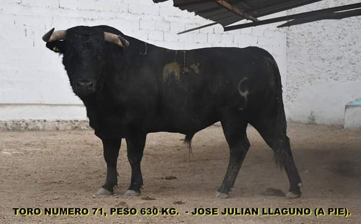 Gerardo Adame tweet media