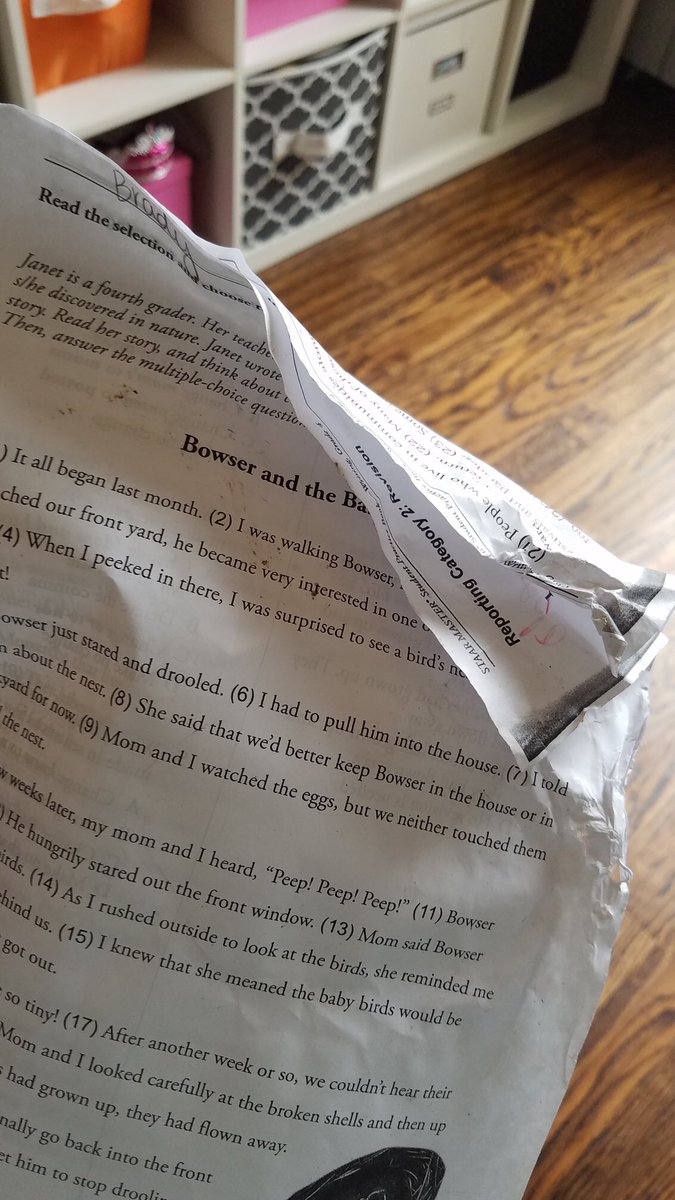 douganjo's tweet photo. Someone tried to help me with my grading this weekend! @HeritageES #thedogateyourhomework #funinb7 https://t.co/E6x1Lsfic1