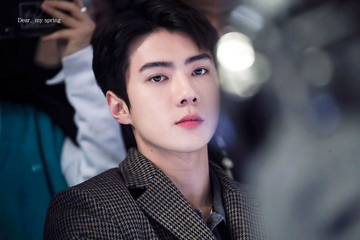 dearmyspring_sh's tweet photo. 190324 #세훈 #sehun

세상에... 인간이 이런 미모 가능한가 싶고... 진짜루... 넘 고급진 세훈.... 8ㅅ8 https://t.co/FUNYKm3X8S