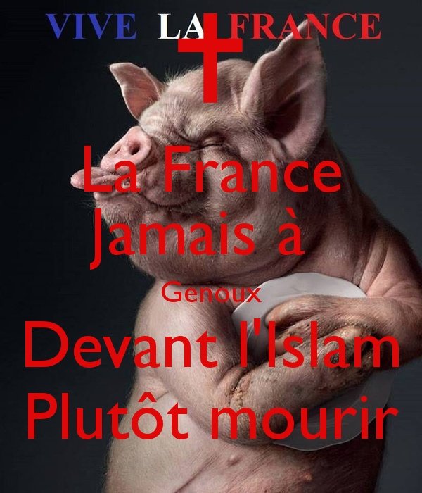 xavier chartier#patriote#🇫🇷#stop macron. tweet media