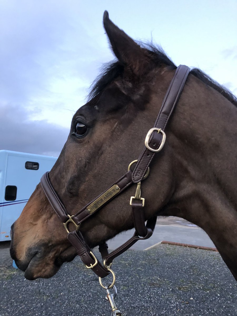 OneForArthur loving life 🥰🥰
Only 13 sleeps to go #randoxgrandnational2019 🤞🏻🤞🏻☔️☔️