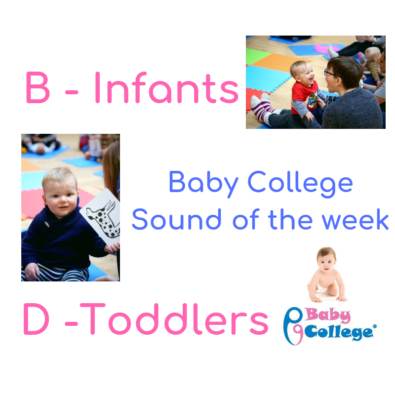 BabyCollegeSB's tweet photo. It's Sunday evening and time for our #soundoftheweek! This week we will be thinking of food items beginning with each sound. 
B for infants and D for toddlers! #babycollegefamily #phonemefun https://t.co/PCDhesfHNz