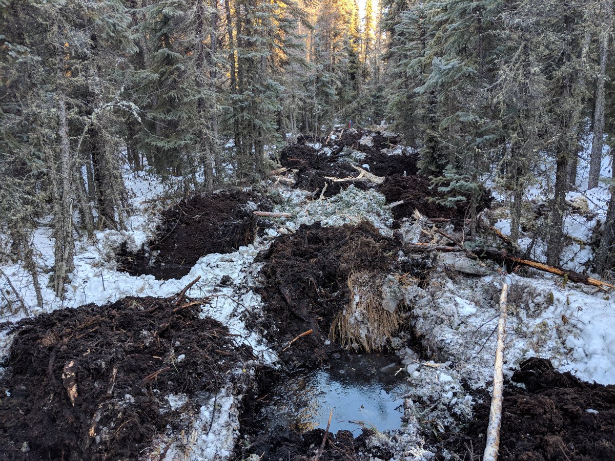 FuseKnowledge's tweet photo. If you're at #ACTWS19 and curious about some of the work we're doing with @RICCCaribou and @COSIA_ca to create an innovation roadmap for improving efficiency+effectiveness of linear restoration, check out @MatthewPyper's talk at 1:30 in the arnica/crocus room https://t.co/5lSti5mDaz