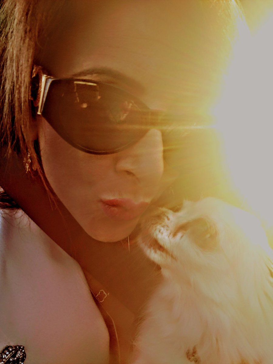 nvrorie's tweet photo. @LisaVanderpump The love of our best friends is our mutual connection to our own humanity! I understand you. Howl, bark, bark. #NicolecommunicateswithCanine #DogTranslator https://t.co/9CsufZFihA