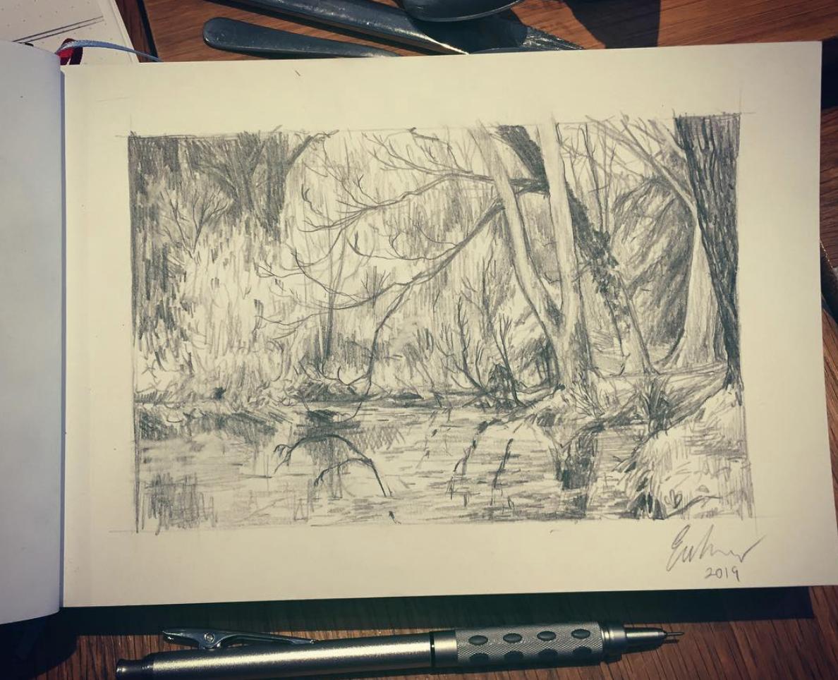 went for a lovely walk with friends and did a lil study today! so much more beautiful nature here in ireland to explore <3