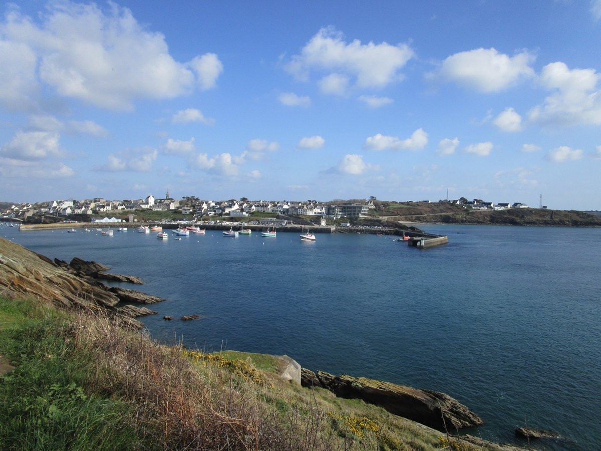 alexendrapsbzh's tweet photo. Balade en presqu'île de Kermorvan (Le Conquet) #bretagne #MagnifiqueBretagne #magnifiquefrance #francemagique https://t.co/B0fRfAa7V5
