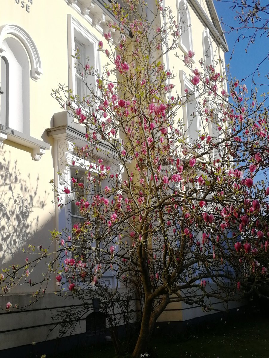 A glorious spring day here in Plymouth. A busy weekend for our boarders with a pool party last night, followed by an afternoon at Super tramp today!