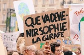 LSlogans's tweet image. Sauvons Sophie ! 😒