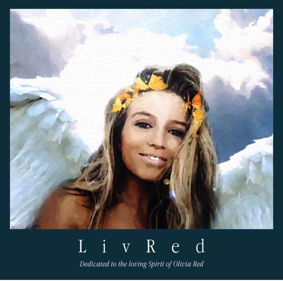 Justice4Livi's tweet photo. We’d like to thank our dear friend Scuba Steve and the artist Buddy Sears for this art. We now own this beautiful rendering of Olivia. My heart is so thankful. ❤️ We cannot thank you enough. ❤️ https://t.co/3aikEnY4kd
