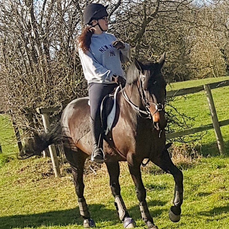 JimJamJenJen's tweet photo. What a lovely week off work with my beautiful Kira #ilovemyhorse #prettygirl #bestie https://t.co/OBmFOoHPdj