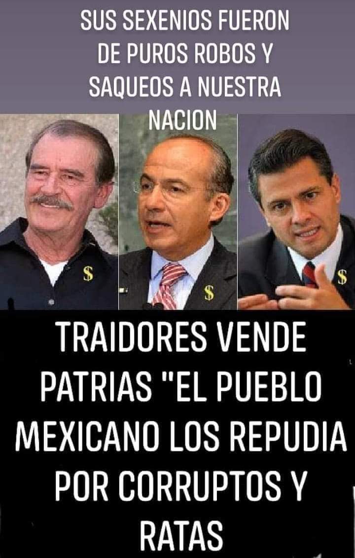 DRFITNESS13's tweet photo. Los protegidos del corrupto vejete Hocicon @lopezobrador_  #AMLOyaPacto AMLOyaPacto #PRIMOR  proteger y pactar con ladrones también es corrupción @lopezobrador_ https://t.co/ryrdYUVdPJ