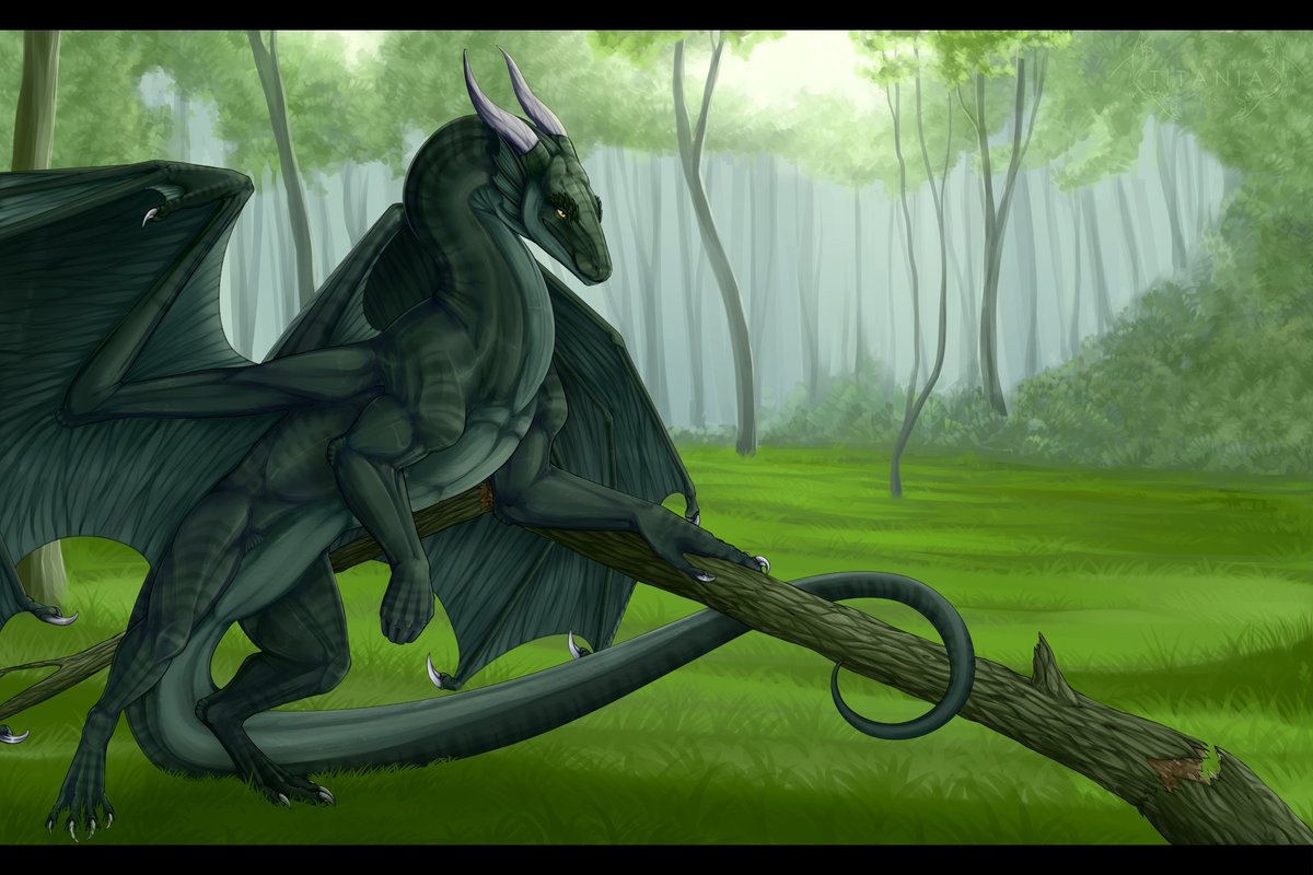 Commission for Hondra.