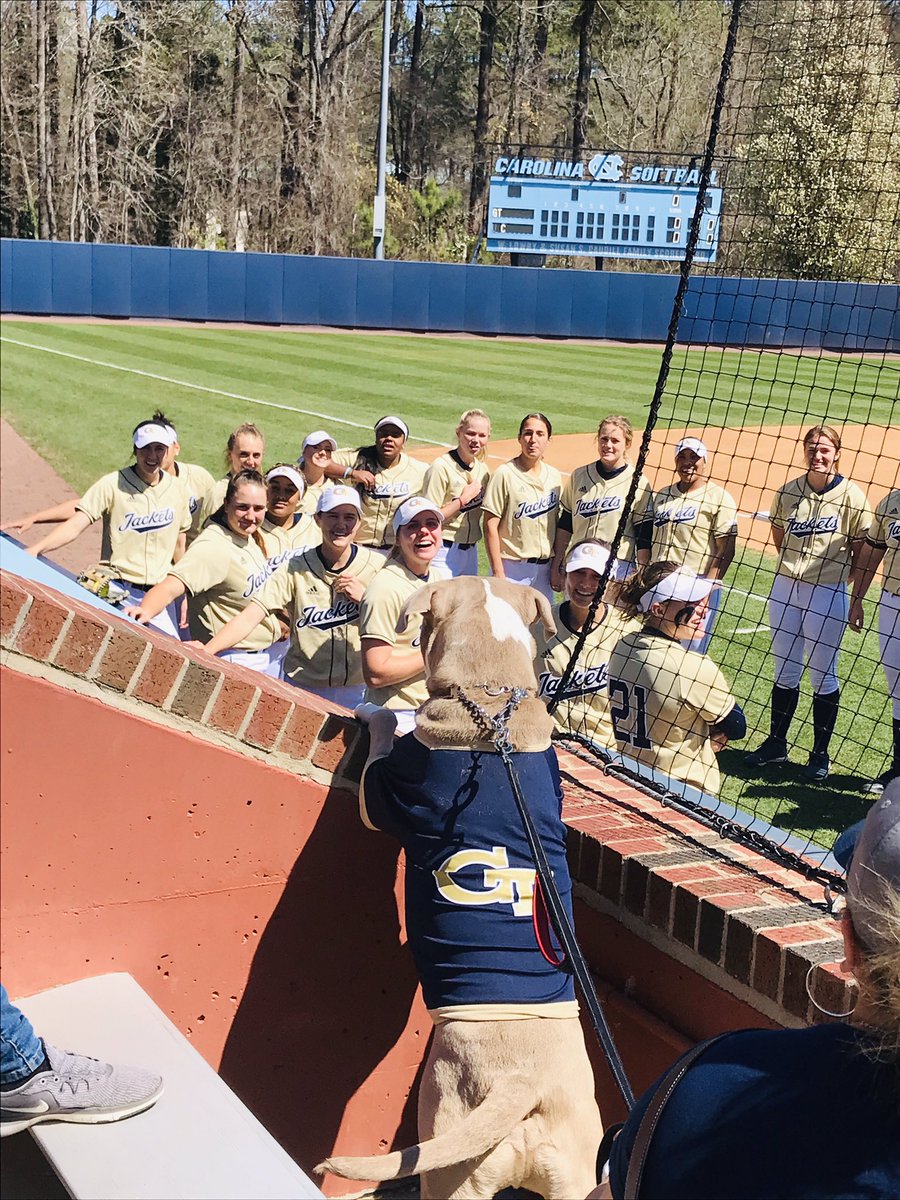 TheRealBJack50's tweet photo. @GaTechSoftball WINS series beating UNC 3-2 in Chapel Hill hrs after learning 1 of their biggest fans&fellow @GTAthletics
s/ath @GTFootball #90 Brandon BIG B Adams passed away suddenly! AMAZING #grit #fortitude by ladies& @Coach_A_Mo @reese_m3 @a_owen4 #SwarmStrong ππ#RIPBigB https://t.co/yN1cgjvNPA