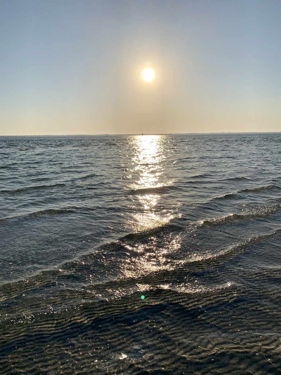 Shelling at Anclote Key