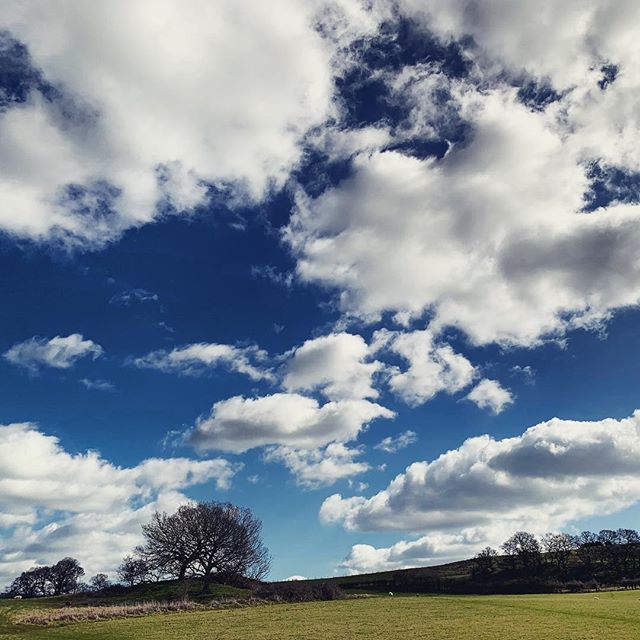 eddequincey's tweet photo. Blue spring sky. #staffordshire #countryside #ig_countryside #bbcstoke #gnossal https://t.co/Qk4qRoJN74 https://t.co/xeWCcvgXAd