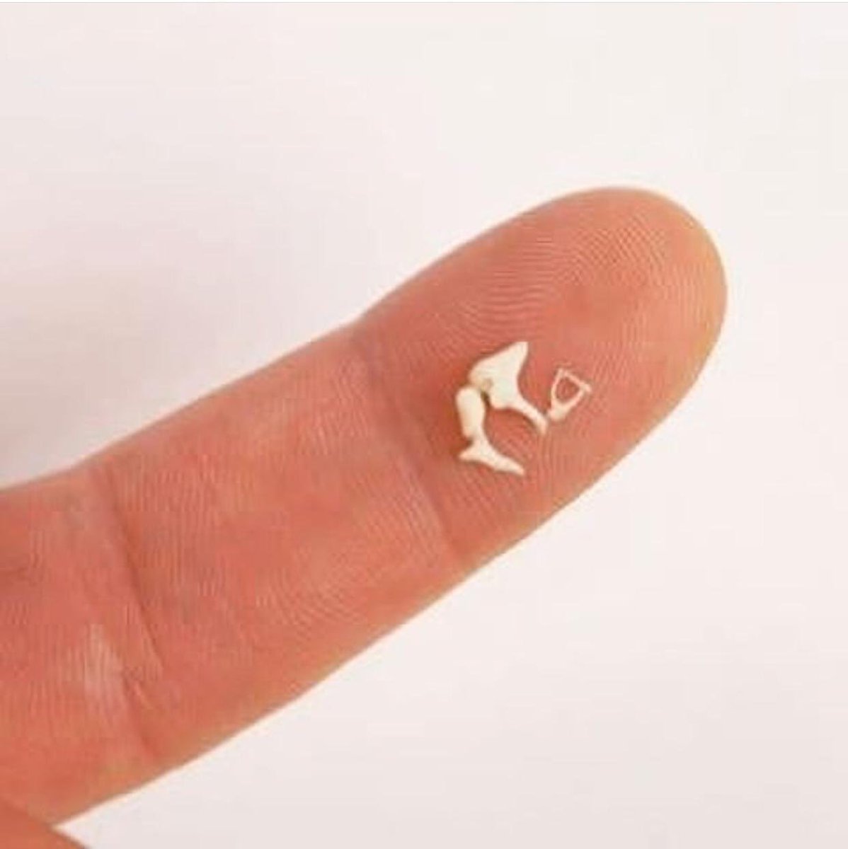 أسعد العرفة على تويتر أصغر عظمة في جسم الإنسان تعرف بعظمة الركاب وتوجد داخل الأذن الوسطى. وهي واحدة من ثلاث عظام تسمى عظام السمع، والمطرقة، والسندان، والركاب.