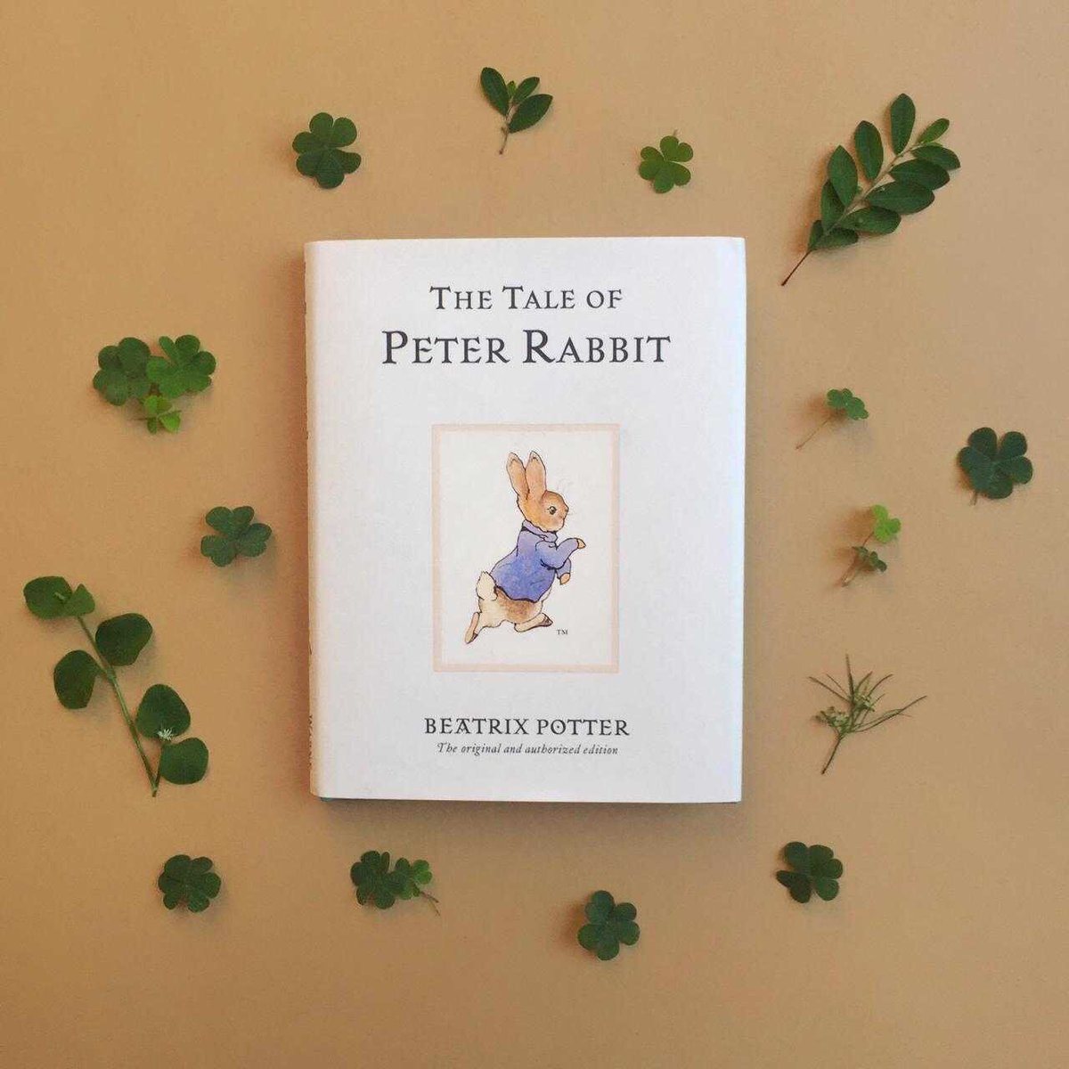 goodreads's tweet photo. “Once upon a time there were four little Rabbits, and their names were – Flopsy, Mopsy, Cotton-tail, and Peter.” -Beatrix Potter https://t.co/Ql5nR4L4ZW