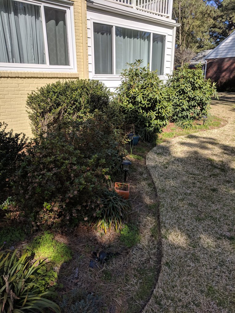 J_Sliv's tweet photo. I've decided to weed our yard instead of grade papers. The procrastination is real. I've got my work cut out for me! I also have no idea what I'm doing. 🤷 #taskavoidance #AcademicTwitter #newhomeowner https://t.co/tZHd13nUJt