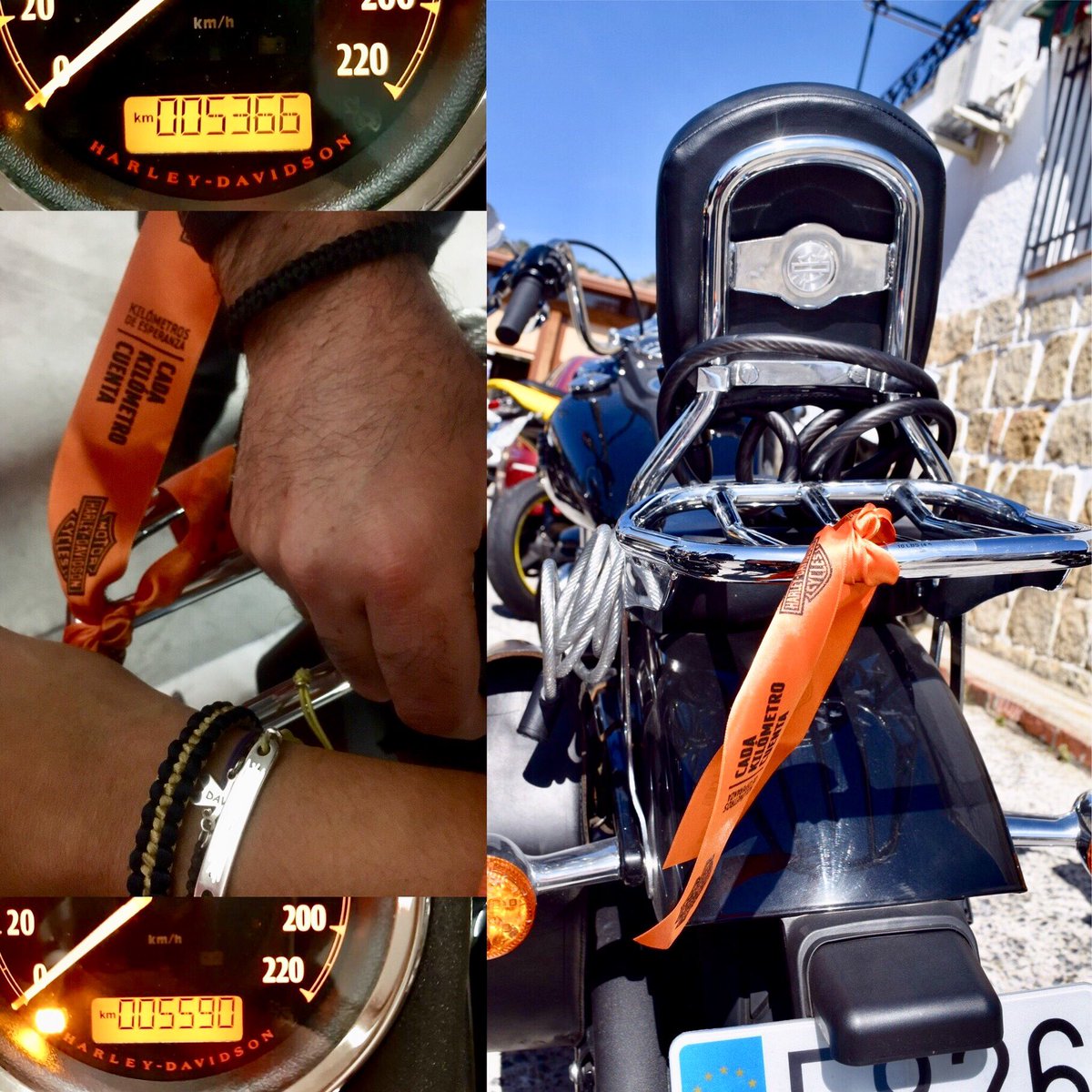 Lady_Towers's tweet photo. @pulserascandela y @Harley_Spain  hemos sumado 224 kms de esperanza. Ha sido muy especial, muchas motos en La Sierra de Madrid acumulando Kms. 👏🏻👏🏻👏🏻@HOGCapital https://t.co/JNsgAjw0pb