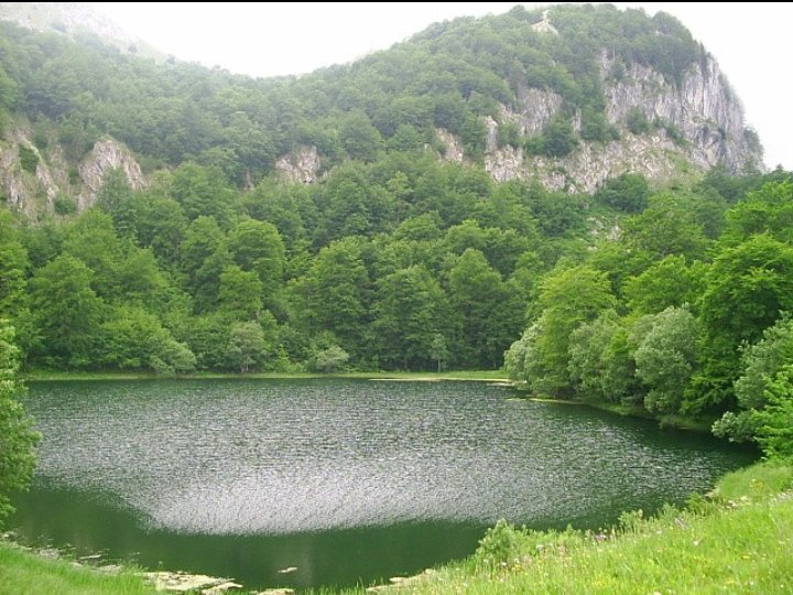 Geographymunic1's tweet photo. Donje Bare je prirodno jezero u Bosni i Hercegovini, na planini Zelengori. Smješteno je ispod vrha Ardov (1723). Dugo je 250, široko 120 metara. Najveća dubina jezera je 4,5 metra.
#lake #beautiful #BiH #nature #turizam #Donje #Bare 
T.R. VII-3 https://t.co/uxFvA7dCE0