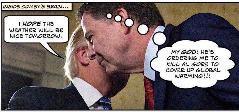 BaggaBrigade's tweet photo. @brianstelter @davidfrum #HAHAHAHAHA #VoterFraud #LyingProgressives #BuildTheWall #MuellerReport #SongBird   #Corruption #RINO #FISA #FASCISTS #Mighty200 #MAGA #RussiaHoax #Maddow https://t.co/auRBWgvZea