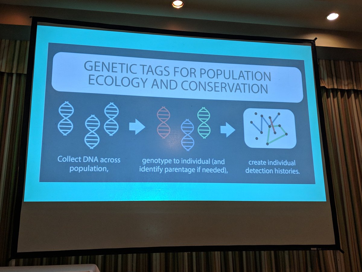 kate_sciart's tweet photo. How can genetic tags help ecological research? Turns out, there's a lot of ways! @ClaytonTLamb starting off the #ACTWS19 speed talks by discussing his upcoming global review - which may feature a figure by yours truly ;) https://t.co/pThyx1hm4E