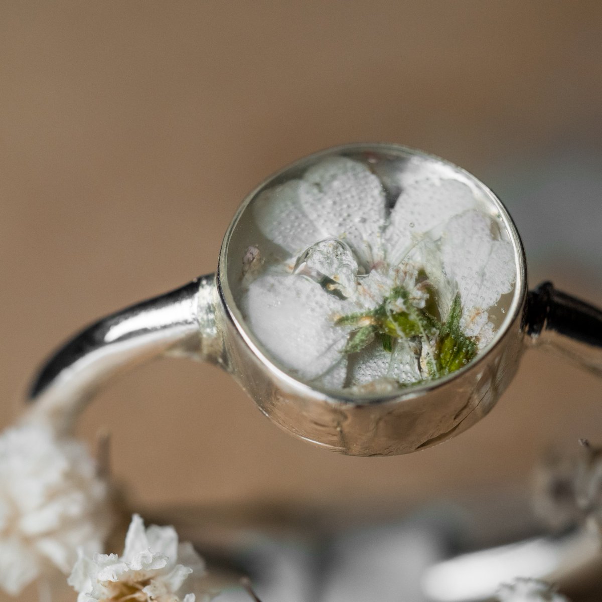 papjewellery's tweet photo. Have a white Day!!!
#papillons
#mothersday #ΩΩΩ
_Ψ§ΩΨ§Ω
#ΨΉΩΨ―_Ψ§ΩΨ§Ω
#papillons_so #bealwaysblooming #tinyjewelry #tiny #gold #silver #acceeories #handmade #art #jewelry #Fashion #madeinegypt #myegypt #egyptiandesigners #cairofashion #cairoart #egyptcrafts #redsea #gouna #happynewyear https://t.co/yKWOGPYvPN